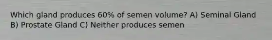 Which gland produces 60% of semen volume? A) Seminal Gland B) Prostate Gland C) Neither produces semen