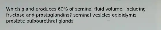 Which gland produces 60% of seminal fluid volume, including fructose and prostaglandins? seminal vesicles epididymis prostate bulbourethral glands