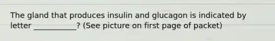 The gland that produces insulin and glucagon is indicated by letter ___________? (See picture on first page of packet)