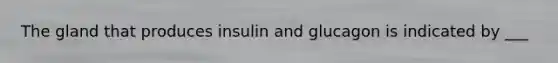 The gland that produces insulin and glucagon is indicated by ___