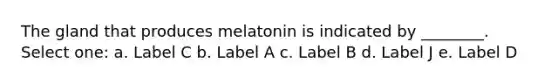 The gland that produces melatonin is indicated by ________. Select one: a. Label C b. Label A c. Label B d. Label J e. Label D