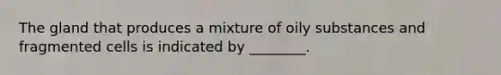 The gland that produces a mixture of oily substances and fragmented cells is indicated by ________.