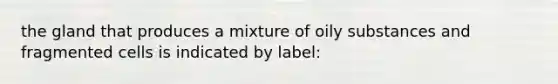 the gland that produces a mixture of oily substances and fragmented cells is indicated by label: