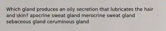 Which gland produces an oily secretion that lubricates the hair and skin? apocrine sweat gland merocrine sweat gland sebaceous gland ceruminous gland