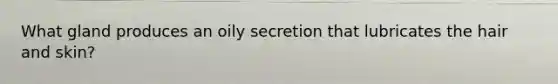 What gland produces an oily secretion that lubricates the hair and skin?