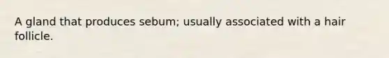 A gland that produces sebum; usually associated with a hair follicle.