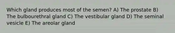 Which gland produces most of the semen? A) The prostate B) The bulbourethral gland C) The vestibular gland D) The seminal vesicle E) The areolar gland