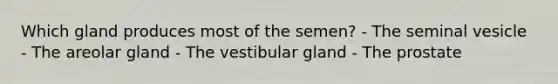 Which gland produces most of the semen? - The seminal vesicle - The areolar gland - The vestibular gland - The prostate