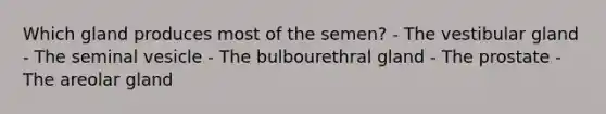 Which gland produces most of the semen? - The vestibular gland - The seminal vesicle - The bulbourethral gland - The prostate - The areolar gland