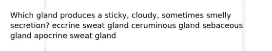 Which gland produces a sticky, cloudy, sometimes smelly secretion? eccrine sweat gland ceruminous gland sebaceous gland apocrine sweat gland