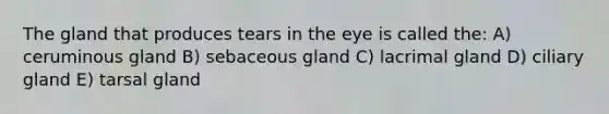 The gland that produces tears in the eye is called the: A) ceruminous gland B) sebaceous gland C) lacrimal gland D) ciliary gland E) tarsal gland