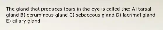 The gland that produces tears in the eye is called the: A) tarsal gland B) ceruminous gland C) sebaceous gland D) lacrimal gland E) ciliary gland