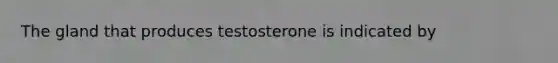 The gland that produces testosterone is indicated by