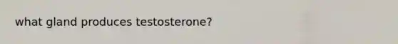 what gland produces testosterone?