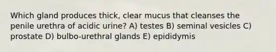 Which gland produces thick, clear mucus that cleanses the penile urethra of acidic urine? A) testes B) seminal vesicles C) prostate D) bulbo-urethral glands E) epididymis