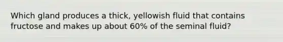 Which gland produces a thick, yellowish fluid that contains fructose and makes up about 60% of the seminal fluid?