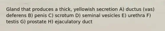 Gland that produces a thick, yellowish secretion A) ductus (vas) deferens B) penis C) scrotum D) seminal vesicles E) urethra F) testis G) prostate H) ejaculatory duct