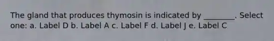 The gland that produces thymosin is indicated by ________. Select one: a. Label D b. Label A c. Label F d. Label J e. Label C