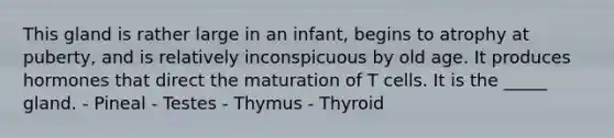 This gland is rather large in an infant, begins to atrophy at puberty, and is relatively inconspicuous by old age. It produces hormones that direct the maturation of T cells. It is the _____ gland. - Pineal - Testes - Thymus - Thyroid