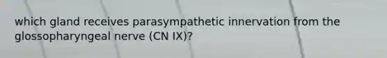 which gland receives parasympathetic innervation from the glossopharyngeal nerve (CN IX)?