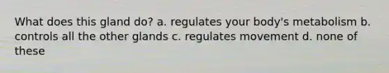 What does this gland do? a. regulates your body's metabolism b. controls all the other glands c. regulates movement d. none of these