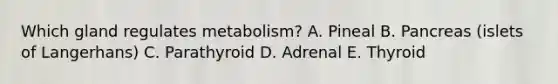 Which gland regulates metabolism? A. Pineal B. Pancreas (islets of Langerhans) C. Parathyroid D. Adrenal E. Thyroid