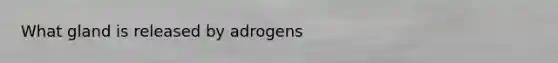 What gland is released by adrogens