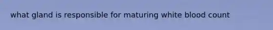 what gland is responsible for maturing white blood count