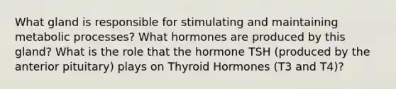 What gland is responsible for stimulating and maintaining metabolic processes? What hormones are produced by this gland? What is the role that the hormone TSH (produced by the anterior pituitary) plays on Thyroid Hormones (T3 and T4)?