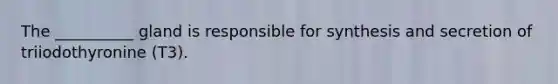 The __________ gland is responsible for synthesis and secretion of triiodothyronine (T3).