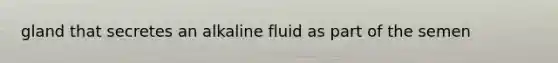 gland that secretes an alkaline fluid as part of the semen