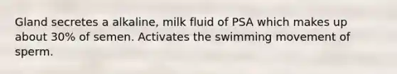 Gland secretes a alkaline, milk fluid of PSA which makes up about 30% of semen. Activates the swimming movement of sperm.