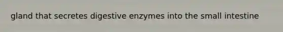 gland that secretes digestive enzymes into the small intestine