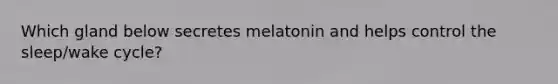 Which gland below secretes melatonin and helps control the sleep/wake cycle?