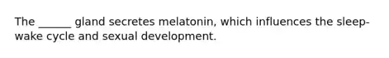 The ______ gland secretes melatonin, which influences the sleep-wake cycle and sexual development.