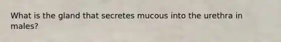 What is the gland that secretes mucous into the urethra in males?