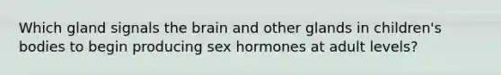 Which gland signals the brain and other glands in children's bodies to begin producing sex hormones at adult levels?