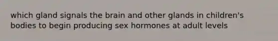 which gland signals the brain and other glands in children's bodies to begin producing sex hormones at adult levels