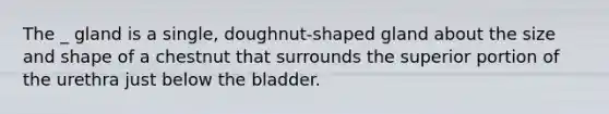 The _ gland is a single, doughnut-shaped gland about the size and shape of a chestnut that surrounds the superior portion of the urethra just below the bladder.