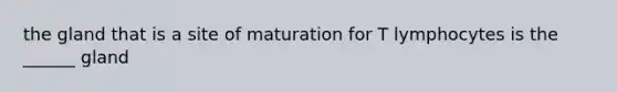 the gland that is a site of maturation for T lymphocytes is the ______ gland