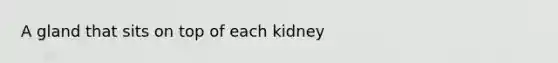 A gland that sits on top of each kidney