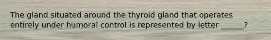 The gland situated around the thyroid gland that operates entirely under humoral control is represented by letter ______?