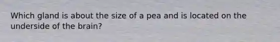 Which gland is about the size of a pea and is located on the underside of the brain?