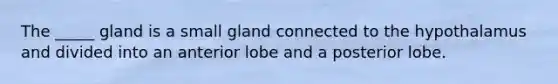 The _____ gland is a small gland connected to the hypothalamus and divided into an anterior lobe and a posterior lobe.