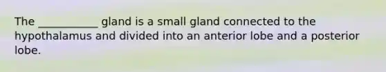 The ___________ gland is a small gland connected to the hypothalamus and divided into an anterior lobe and a posterior lobe.