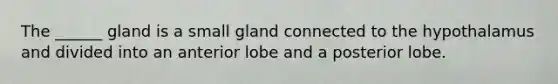 The ______ gland is a small gland connected to the hypothalamus and divided into an anterior lobe and a posterior lobe.