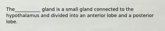 The___________ gland is a small gland connected to the hypothalamus and divided into an anterior lobe and a posterior lobe.