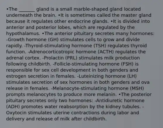 •The _______ gland is a small marble-shaped gland located underneath the brain. •It is sometimes called the master gland because it regulates other endocrine glands. •It is divided into anterior and posterior lobes, which are regulated by the hypothalamus. •The anterior pituitary secretes many hormones: -Growth hormone (GH) stimulates cells to grow and divide rapidly. -Thyroid-stimulating hormone (TSH) regulates thyroid function. -Adrenocorticotropic hormone (ACTH) regulates the adrenal cortex. -Prolactin (PRL) stimulates milk production following childbirth. -Follicle-stimulating hormone (FSH) is responsible for sex cell development in both genders and estrogen secretion in females. -Luteinizing hormone (LH) stimulates secretion of sex hormones in both genders and ova release in females. -Melanocyte-stimulating hormone (MSH) prompts melanocytes to produce more melanin. •The posterior pituitary secretes only two hormones: -Antidiuretic hormone (ADH) promotes water reabsorption by the kidney tubules. -Oxytocin stimulates uterine contractions during labor and delivery and release of milk after childbirth.