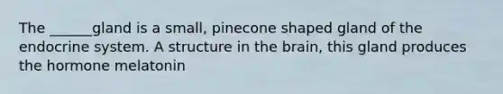 The ______gland is a small, pinecone shaped gland of the endocrine system. A structure in the brain, this gland produces the hormone melatonin