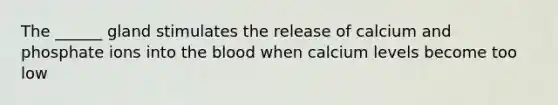 The ______ gland stimulates the release of calcium and phosphate ions into the blood when calcium levels become too low